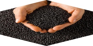 Производство термоэластопластов (TPE), мастербатчей , красителей , суперконцентратов для полимеров.